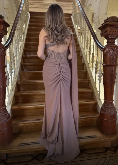 Alice Dress Donker Beige Achter